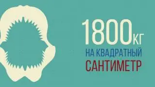 ЧТО, ЕСЛИ животные начнут войну против человечества