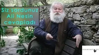 Gelmiş Geçmiş En İyi Matematikçi Kimdir? | Ali Nesin