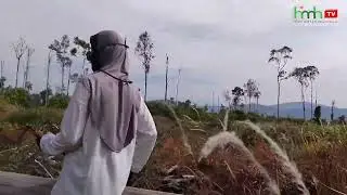 TANAM SAWIT DI KEBUN TRANSMIGRASI 