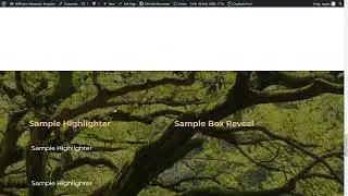 Elementor Viewport Animations added Highlighter and Box Reveal