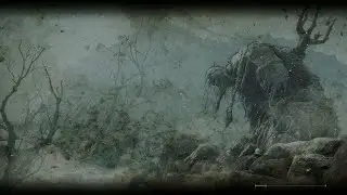 Life update stream 7-19-24