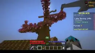 Skyblock NOVA BAZA