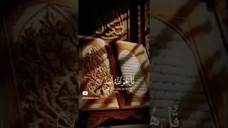 সূরা ইখলাস  sura ikhlas #shorts