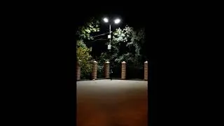 Танец в Ночи