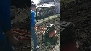 Учится пахать.