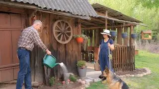 A Quiet Morning in Forest Village: Our Simple Joys and Household Chores