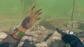 Warzone Battle Royale Part 26