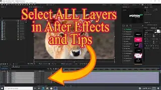 How to Select All Layers in after effects and some selection tips