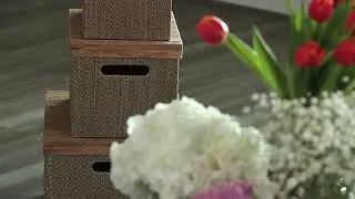WEBSITE VIDEO PRODUCTION [Boxes, Footage] | Mary An, Functional Spaces