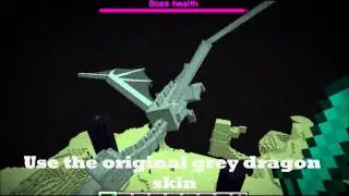 Minecraft Texture Pack- Dragon Changer 1.0