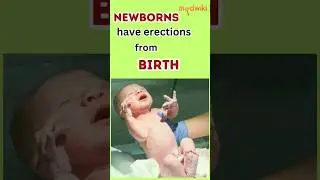 Newborns have erections from birth! 