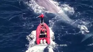 Racing Extinction // Trailer (NL sub)
