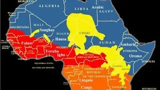 afro-asiatic debunked (black egyptians) afro-asiatic language (bantu) similarities