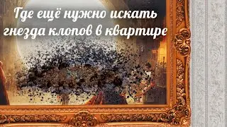 Где еще можно и нужно искать гнезда клопов в квартире, или клоповьи "острова" не на кровати.