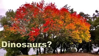 No Offense, but you look like dinosaurs. (Happy Halloween)