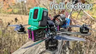 2021 Fall Color Freestyle - QAV-S & Grinder V3's