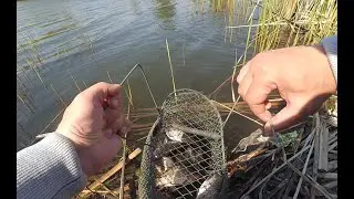 Карась на бутерброд! Рыбалка на карася!