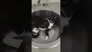 Uni plugs the sink