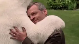 Обнимашки с полярным мишкой