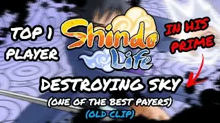Shindo Life PVP #11 | DESTROYING SKY | Top 1 Shinobi