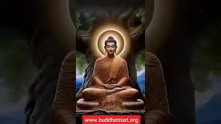 Lord Gautam Buddha Trust, Kokar #shorts #viral #YouTube