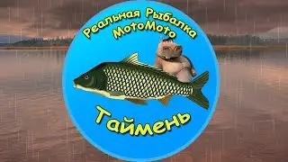 Как поймать Тайменя на Братском водохранилище [NEW] | Реальная Рыбалка
