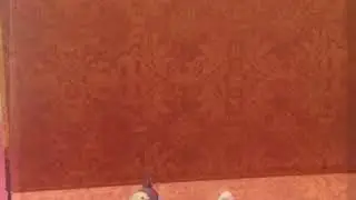 LPS Мультик