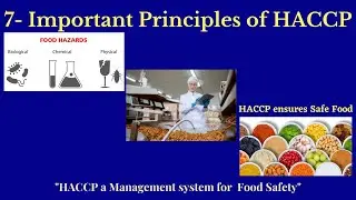 Important Principles of HACCP/ Which are the principles of HACCP/
