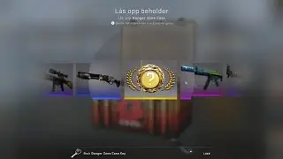 BEST CSGO CASE OPENING (NOT CLICK BAIT)