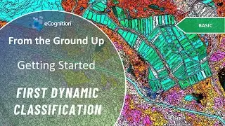 Getting Started 2 of 4: First dynamic classification