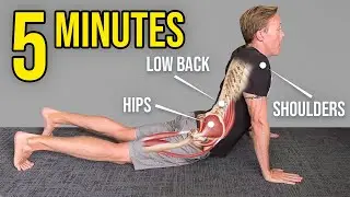 How to Improve Your Mobility in 5 Minutes (Daily Stretches)