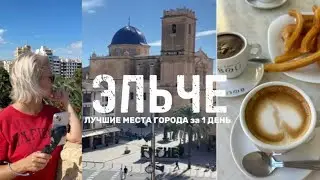 🎥 Elche, Spain – City of Palm Trees and History | Elche Travel Guide