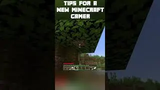 #Minecraft Starter Tips For New Players!