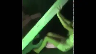 Так вот они зачем в туалет толпами ходят