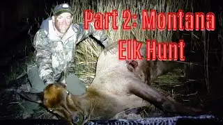 Montana Archery Elk Hunt: Part 2