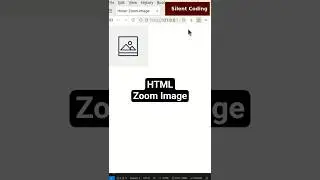 How To Zoom Image Using CSS? - HTML, CSS ,JS Tutorial 