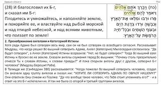 Берешит 1:28 Мидраш. Тора, иврит, перевод, комментарий