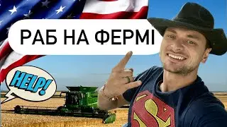 РАБСТВО В АМЕРИЦІ?😅 РОБОТА НА ФЕРМІ В США🇺🇸🇺🇦 Серія #1