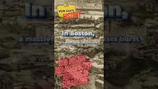 BOSTON Molasses Burst #history #facts #historyfacts #interestingfacts