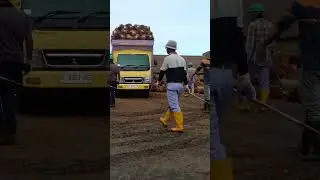 skill truck truck #shorts