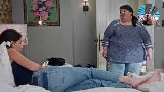 CLIPS No.1