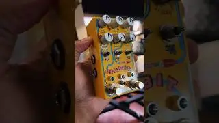 The most aesthetic pedal ever made? #producer #musicproducer #beatmaker #flstudio #guitar