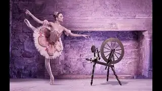 Спящая красавица