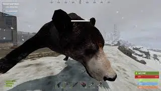 Rust | I HATE Bears