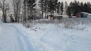 Зимнее утро. Прогулка с мопсом.