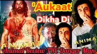 Aukaat Dikha Di - Animal Box Office REPORT | Ye Kya Ho Gya | Aadishorts2.1M