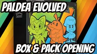 BOX OPENING - Pokemon Scarlet & Violet - Paldea Evolved
