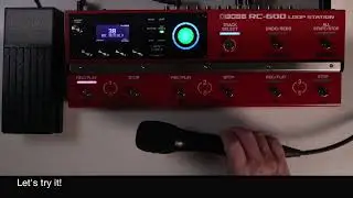 RC 600 MIC MUTE + EXP LEVEL