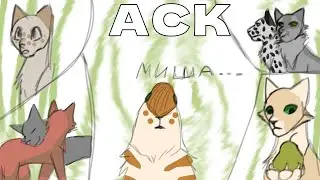 акс! чит.опис