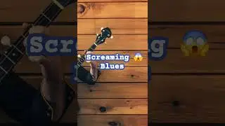 screaming 😱 blues 💙 #shortsfeed #guitar #bluesscale #musicgenre #music #blues #musicstyle #love